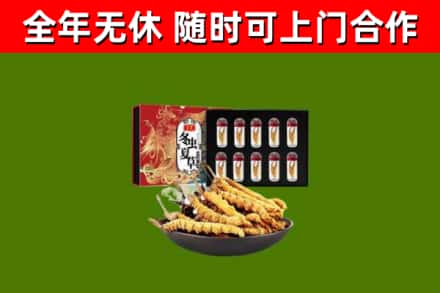 金华市回收冬虫夏草价格